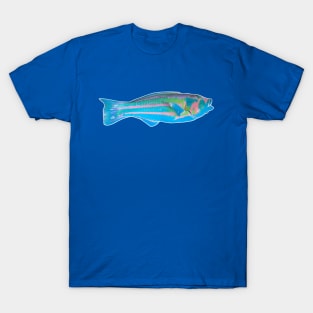 Colorful fish T-Shirt